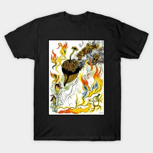 Flaming Acorn (With Border) T-Shirt